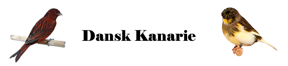 jfkk.dk