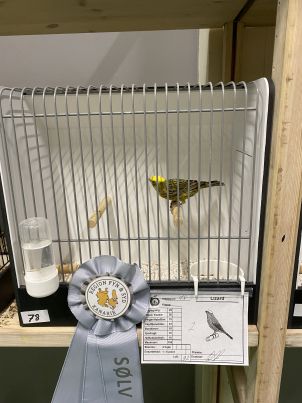 IMG 1386r