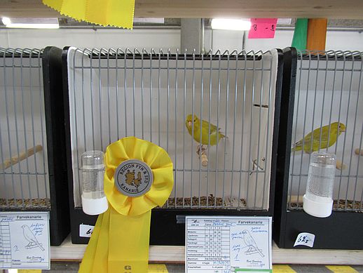 IMG 0299R