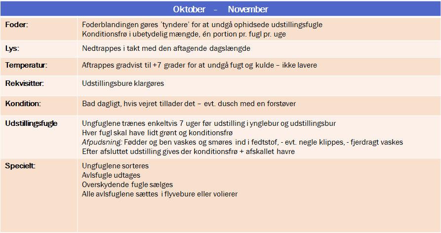 okt nov