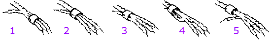 ringm