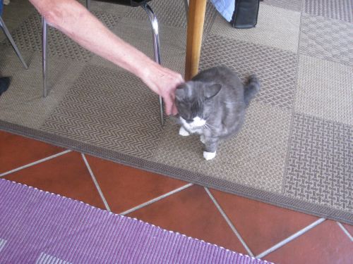 foto-IMG 6814