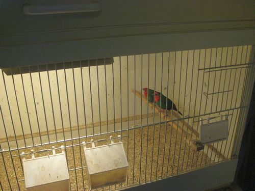 foto-IMG 8163