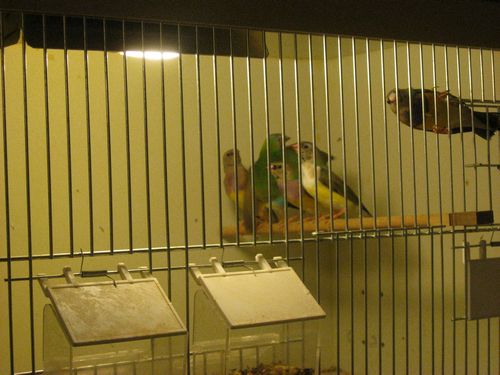 foto-IMG 8165