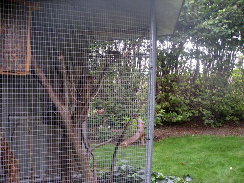 foto-IMG 8244