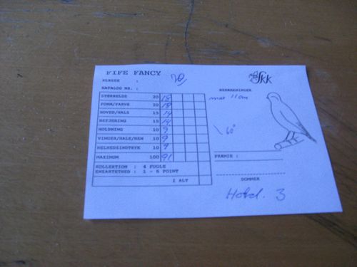 foto-IMG 8152