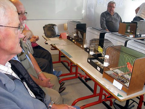 dommer for en dag sept. 2013 007r