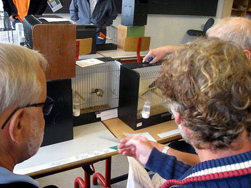 dommer for en dag sept. 2013 010r