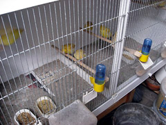 besg_hos_henning_024r