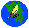 regifynlogo_small
