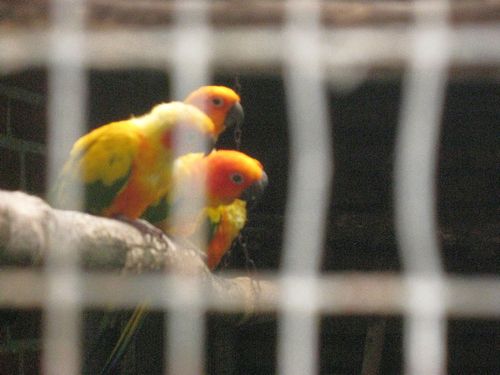 foto-IMG 8053r