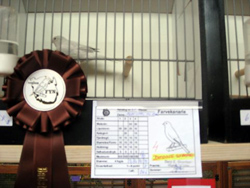 region fyn-syds udstilling 2013 021rr