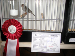 region fyn-syds udstilling 2013 029rr