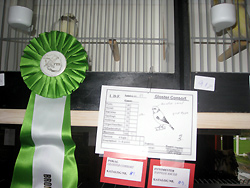 region fyn-syds udstilling 2013 030rtl