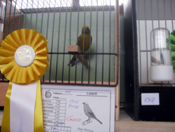region fyn-syds udstilling 2013 036rr
