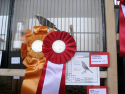 region fyn-syds udstilling 2013 038rr