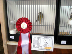 region fyn-syds udstilling 2013 050rr