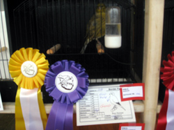 region fyn-syds udstilling 2013 051rr