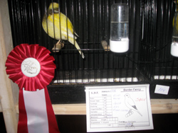 region fyn-syds udstilling 2013 052rr