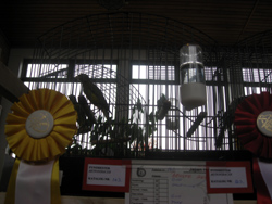 region fyn-syds udstilling 2013 071rr