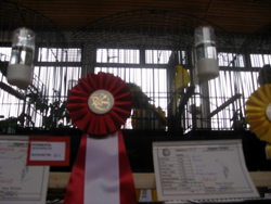 region fyn-syds udstilling 2013 072rr
