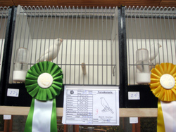region fyn-syds udstilling 2013 076rr