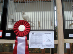 region fyn-syds udstilling 2013 078rr