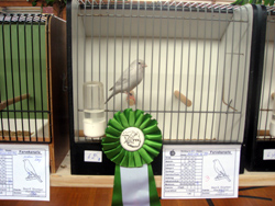 region fyn-syds udstilling 2013 084rr