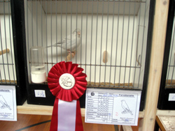 region fyn-syds udstilling 2013 086rr