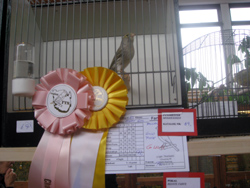 region fyn-syds udstilling 2013 092rr