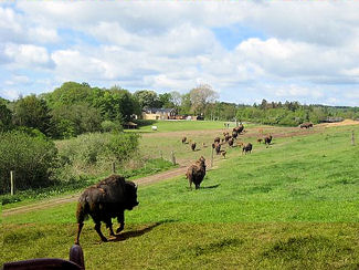 2010-039