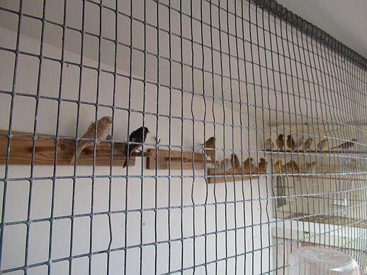 IMG 0723R