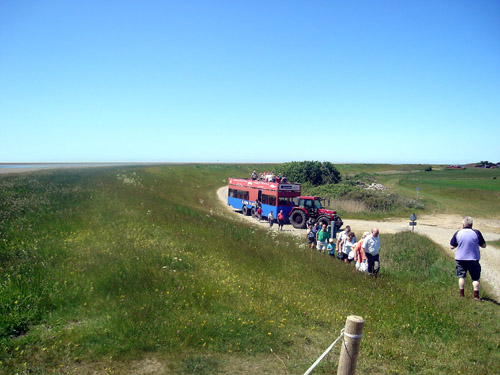 dsc009671r