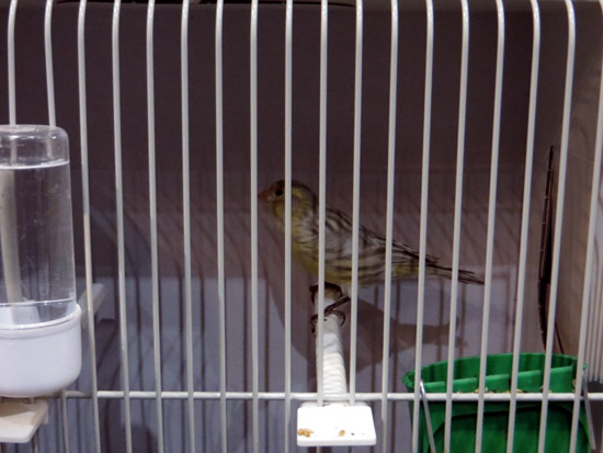 img 0367r
