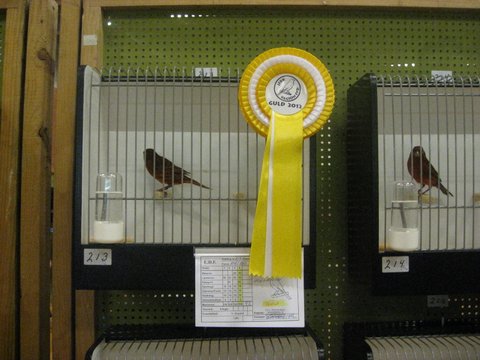 Region Syd-Fyns udstilling i Bramming 008