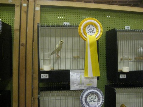 Region Syd-Fyns udstilling i Bramming 012