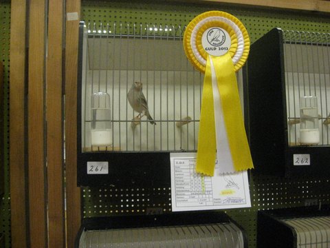 Region Syd-Fyns udstilling i Bramming 014