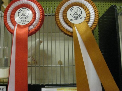 Region Syd-Fyns udstilling i Bramming 015