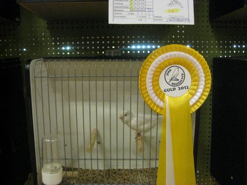 Region Syd-Fyns udstilling i Bramming 016