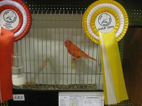 Region Syd-Fyns udstilling i Bramming 018