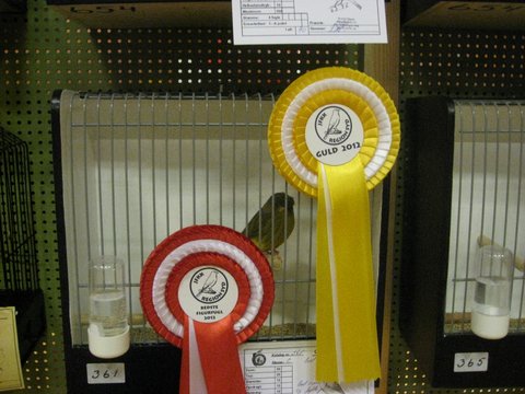 Region Syd-Fyns udstilling i Bramming 024