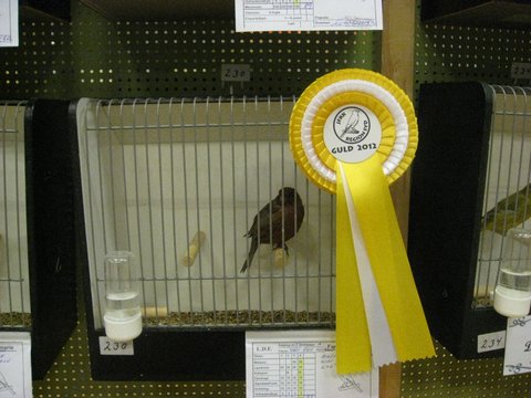 Region Syd-Fyns udstilling i Bramming 050