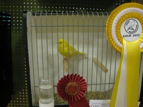 Region Syd-Fyns udstilling i Bramming 052