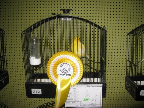 Region Syd-Fyns udstilling i Bramming 053