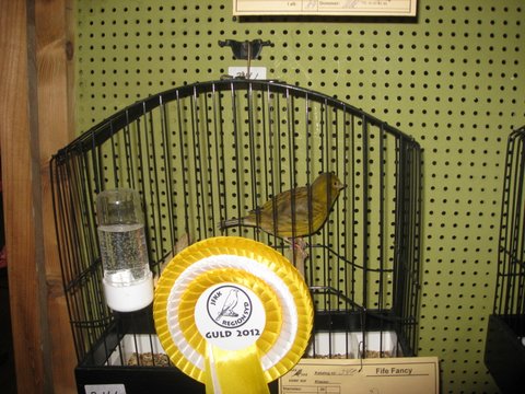 Region Syd-Fyns udstilling i Bramming 055