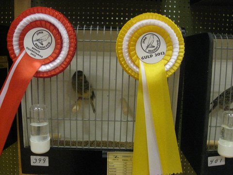 Region Syd-Fyns udstilling i Bramming 057