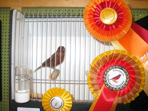 image004