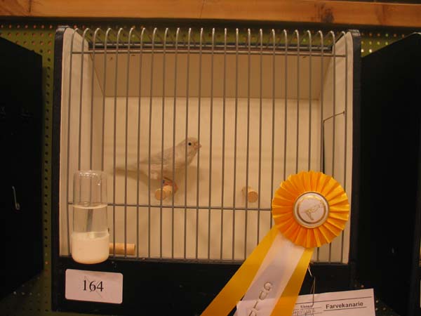 image006