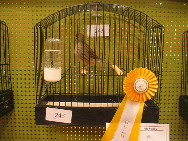 image020